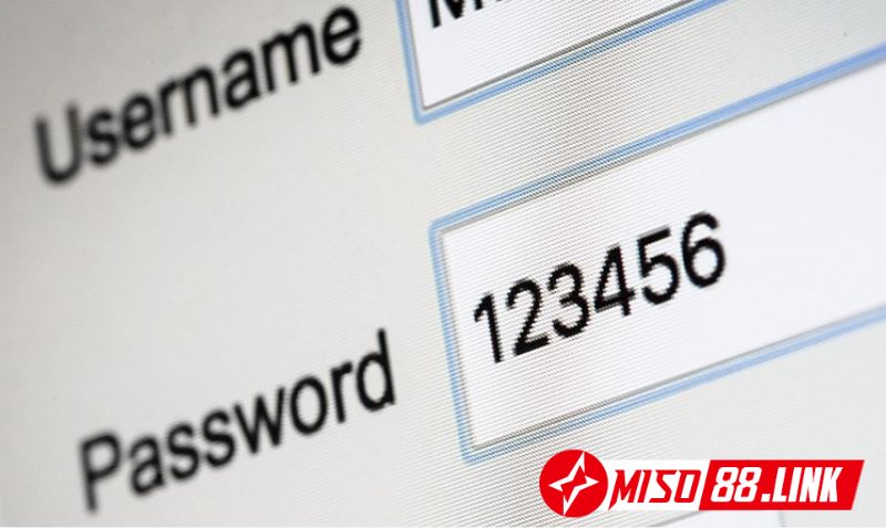Các loại mật khẩu Miso88